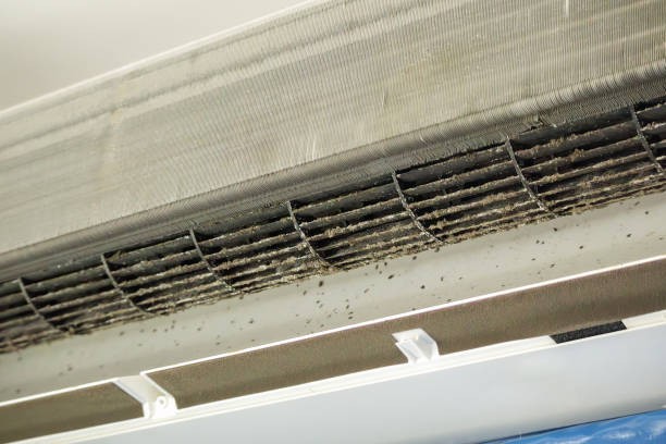 Best Affordable Air Duct Cleaning  in Sutton, NE